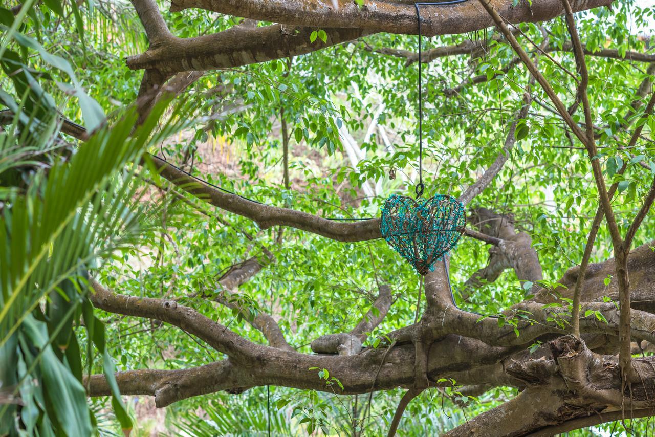 Amor Boutique Hotel Sayulita Ngoại thất bức ảnh
